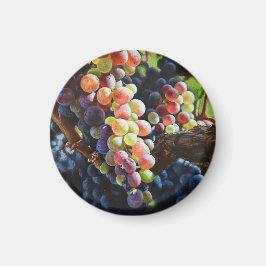 ワインを愛する人たちのために豊富なブドウ&ワイナリー マグネット