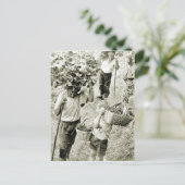 ワインを造る – ワインの収穫 ポストカード (スタンド正面)