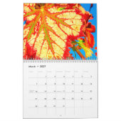 ワインウォールカレンダー – 花火。 カレンダー (3月 2027)