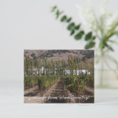 ワインカントリーからの挨拶! ポストカード (スタンド正面)