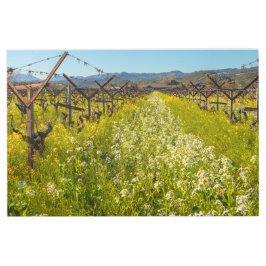 ワインカントリー春 メタルプリント