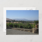 ワインカントリー ポストカード (正面/裏面)