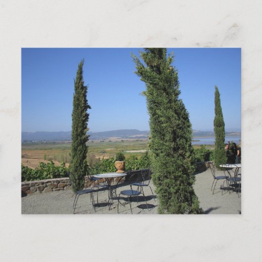 ワインカントリー ポストカード (正面)
