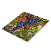 ワイングレープアンドオータムつる植物ズヴィンヤードアート タイル (側面)
