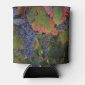 ワインコージークーラーボックス 缶クーラー (正面)