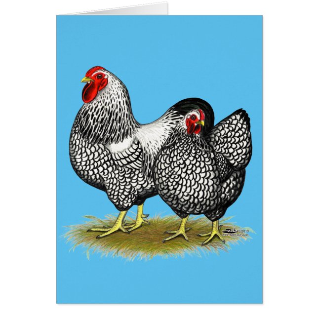 ワインドット：シルバー・ペア (正面)