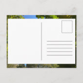 ワインハウスタワーハリファックス葉書 ポストカード (裏面)