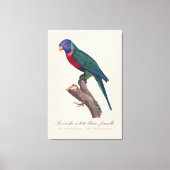 ワインボインコの雌、Trichoglossus moluccanus キャンバスプリント (正面)