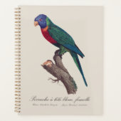 ワインボインコの雌、Trichoglossus moluccanus プランナー手帳 (正面)