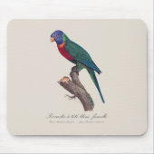 ワインボインコの雌、Trichoglossus moluccanus マウスパッド (正面)