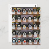 ワインボトル ポストカード (正面/裏面)