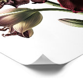 ワインレッドのアマリリス花のアートプリントポスター ポスター (角)