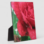 ワインレッドのバラ フォトプラーク (側面)