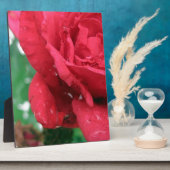 ワインレッドのバラ フォトプラーク (側面)