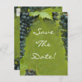 ワインヴィネヤードテーマウェディング日付を保存 案内ポストカード (正面/裏面)