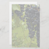 ワインヴィネヤード結婚テーマ 便箋 (正面/裏面)