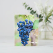 ワイン用ブドウつる植物及びブドウ栽培ギフト シーズンポストカード (スタンド正面)