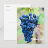 ワイン用ブドウつる植物及びブドウ栽培ギフト シーズンポストカード (正面/裏面)