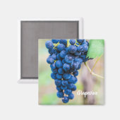 ワイン用ブドウつる植物及びブドウ栽培ギフト マグネット (正面/裏面)