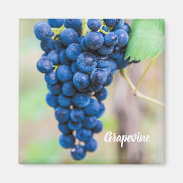 ワイン用ブドウつる植物及びブドウ栽培ギフト マグネット