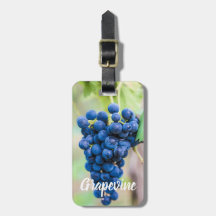 ワイン用ブドウつる植物及びブドウ栽培ギフト