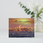 ワイン畑 ポストカード (スタンド正面)