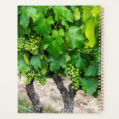 ワイン葡萄の栽培，フランス プランナー手帳 (裏面)