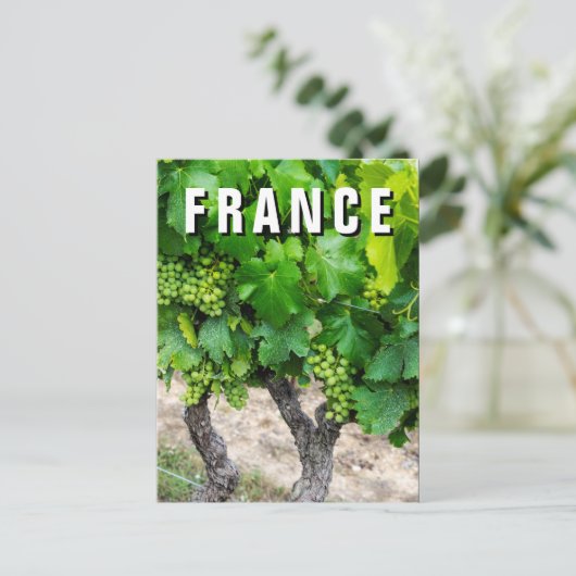 ワイン葡萄の栽培，フランス ポストカード (スタンド正面)