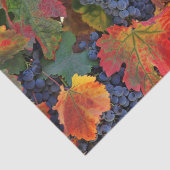 ワイ素晴らしン畑 薄葉紙 (詳細)