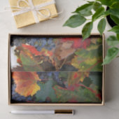 ワイ素晴らしン畑 薄葉紙 (ギフト)