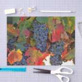 ワイ素晴らしン畑 薄葉紙 (クラフト)