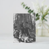 ワウォナツリー魔法ランタンヴィンテージカリフォルニア ポストカード (スタンド正面)