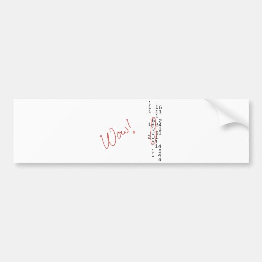 ワウ信号SETIメッセージ バンパーステッカー (正面)