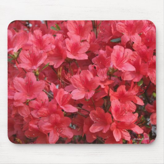 ワウ! マウスパッド (正面)