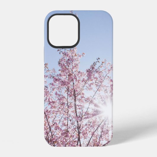 ワオの木のピンクの花を通り抜ける太陽の光線 iPhoneケース (裏面)