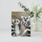 ワオキツネザルの仲間 ポストカード (スタンド正面)