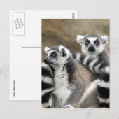 ワオキツネザルの仲間 ポストカード (正面/裏面)