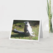 ワオキツネザルの肖像 カード (正面)