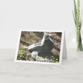 ワオキツネザル カード (正面)