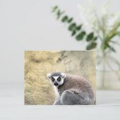 ワオキツネザル ポストカード (スタンド正面)