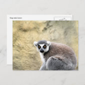 ワオキツネザル ポストカード (正面/裏面)