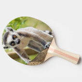 ワオキツネネズミの赤ちゃん 卓球ラケット (横)