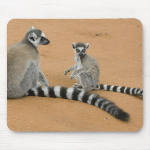 ワオキツネネズミ (Lemur catta) ベレンティ マウスパッド