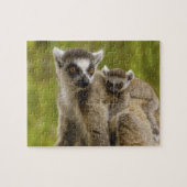 ワオキツネネズミ(Lemur catta)母と赤ちゃん ジグソーパズル (横)
