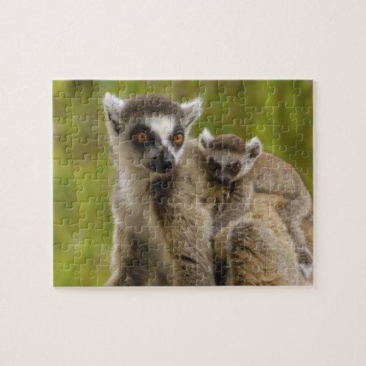 ワオキツネネズミ（Lemur catta）母と赤ちゃん ジグソーパズル (横)