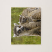 ワオキツネネズミ（Lemur catta）母と赤ちゃん ジグソーパズル (縦)