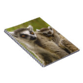 ワオキツネネズミ（Lemur catta）母と赤ちゃん ノートブック (右側)
