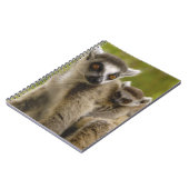 ワオキツネネズミ（Lemur catta）母と赤ちゃん ノートブック (左側)
