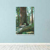 ワオナの木の下の馬車の眺め キャンバスプリント (インサイチュ (ウッドフロア))