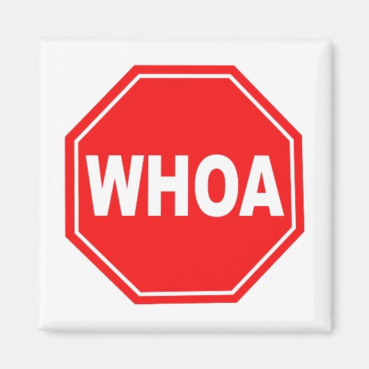 ワオ マグネット (正面)